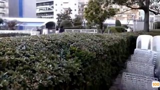 午夜三级电影免费看